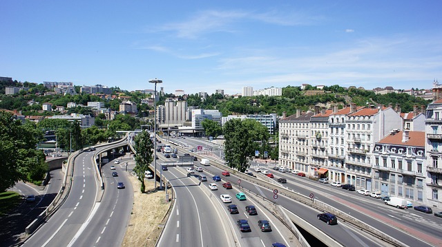 Lyon : de l’IA pour planter des arbres là où il faut