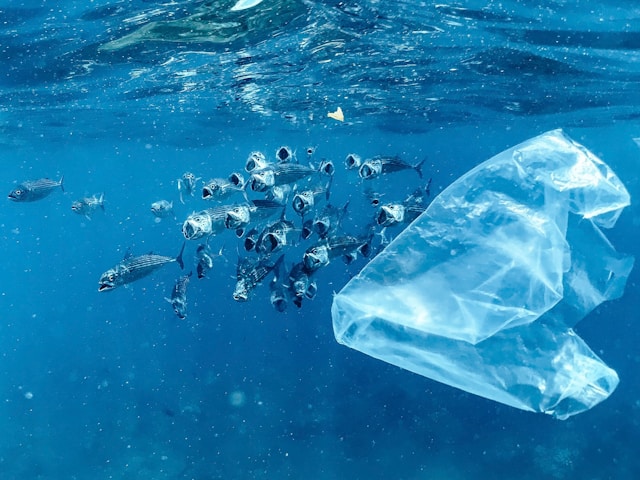 Plastique : pourrait-on un jour nous en débarrasser ?