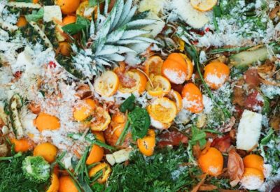 Déchets alimentaires pour le compostage