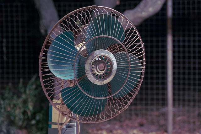 Canicule : les fortes chaleurs ont poussé 19 millions de Français à déménager
